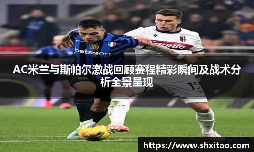 v66体育官网